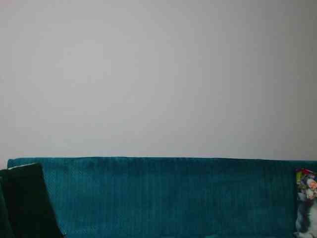 Sara-Daisy webcam