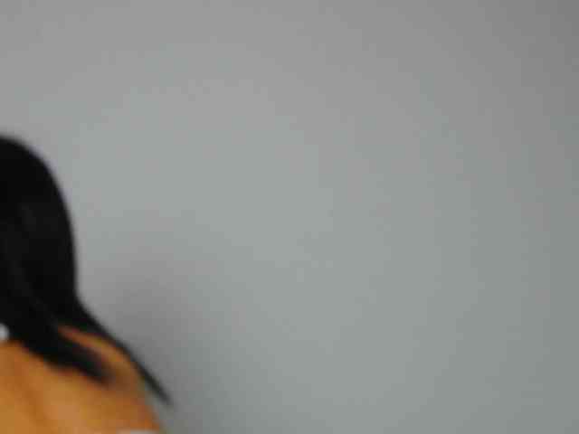 Sara-Daisy webcam