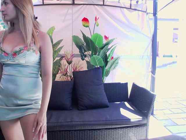 Dajla webcam