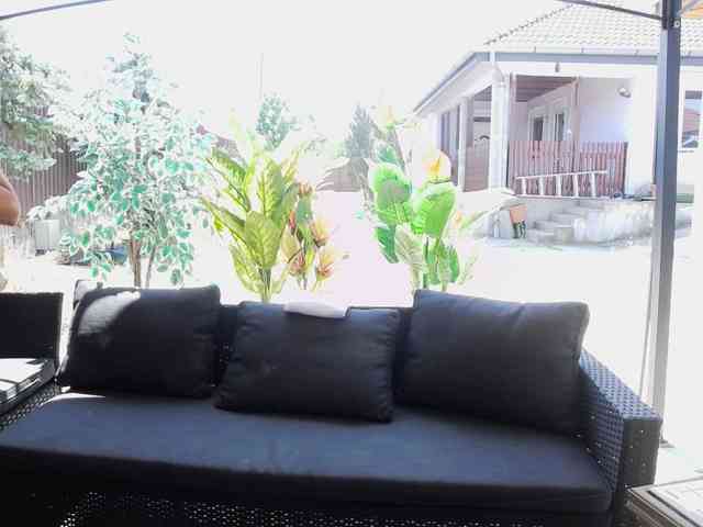 Dajla webcam
