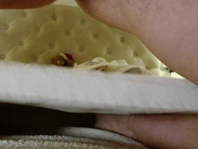 perri-shy live sex show