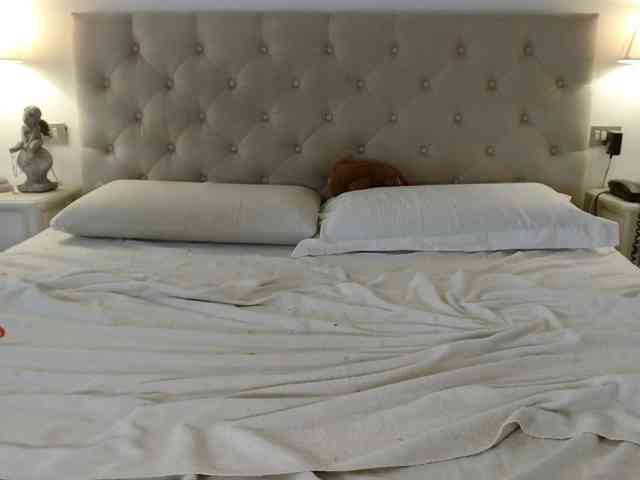 Sweet_Perry webcam