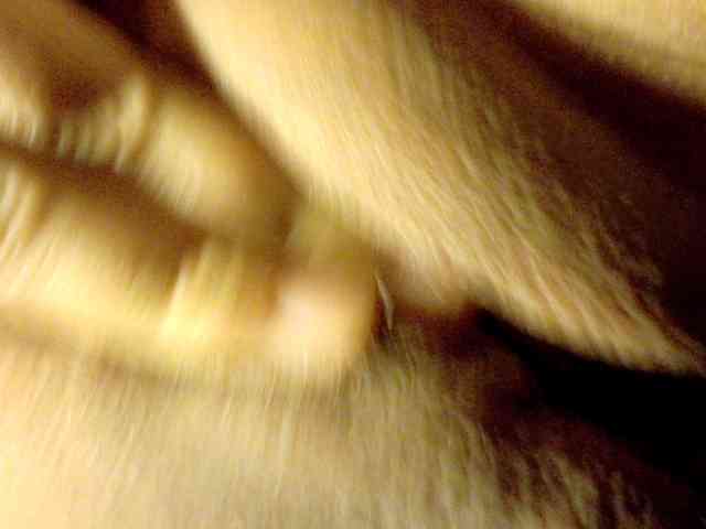 Frummi webcam