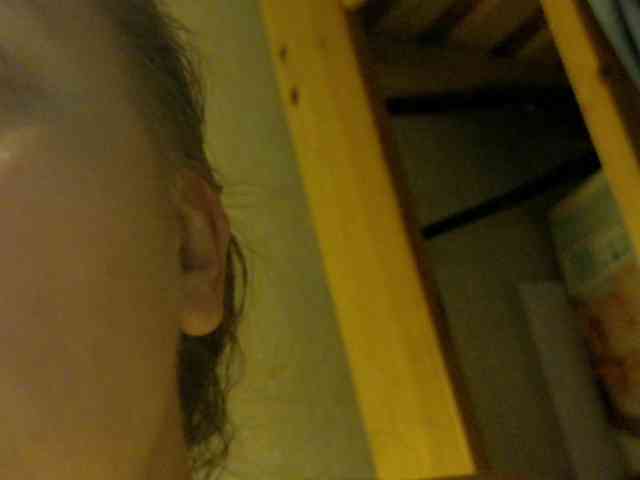 esterjohns esterjohns