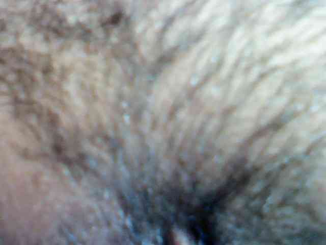 putspermsonme webcam