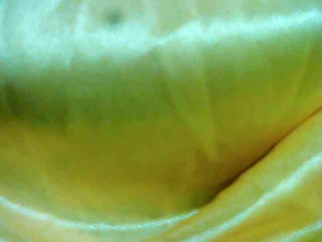 putspermsonme webcam