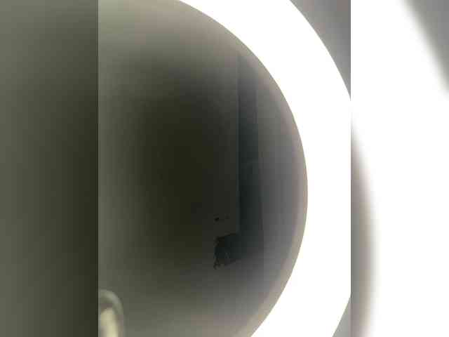 Layla-kavkaz webcam