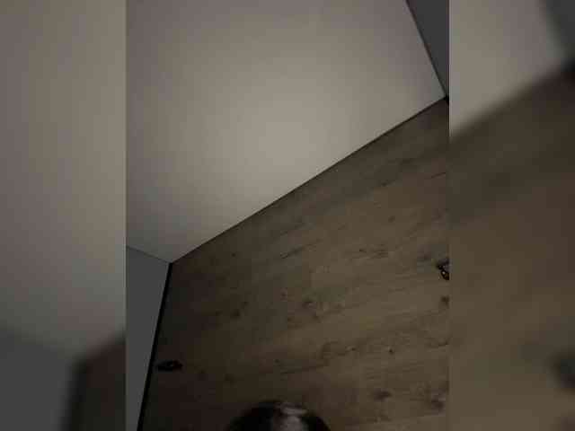 Layla-kavkaz webcam