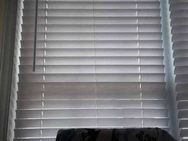 AmericnBarbie webcam