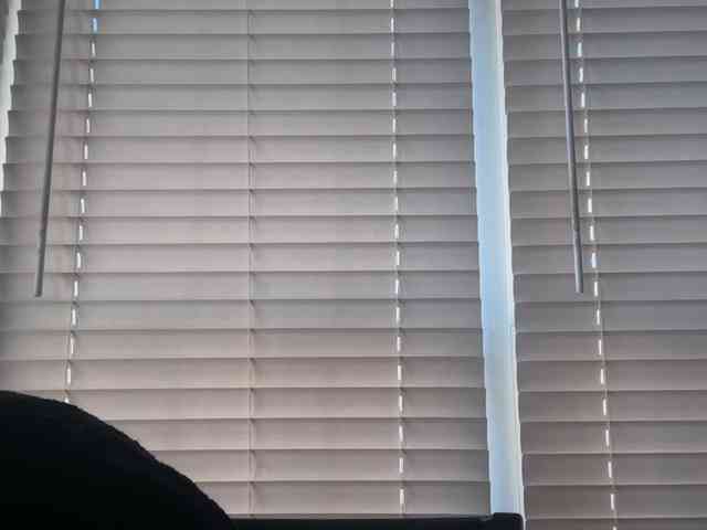 mermaidlexi mermaidlexi