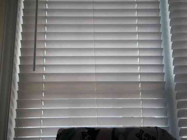 mermaidlexi mermaidlexi