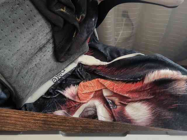 AmericnBarbie webcam