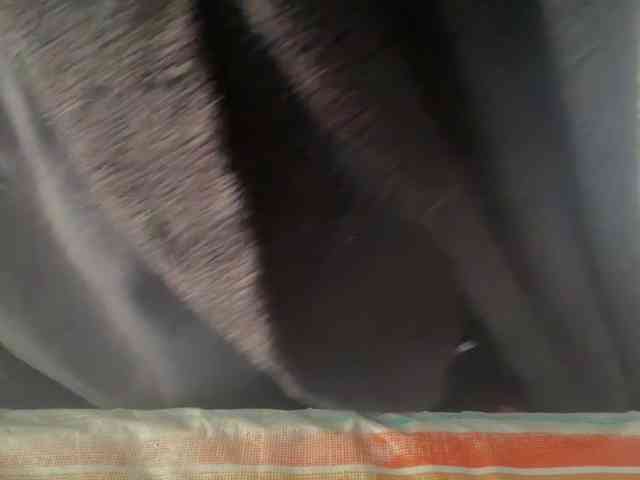 AmericnBarbie webcam