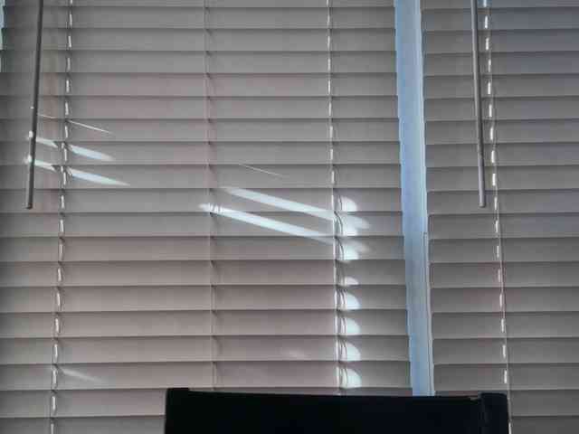 mermaidlexi mermaidlexi