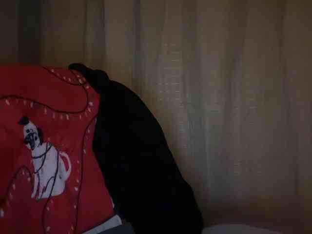 AmericnBarbie webcam