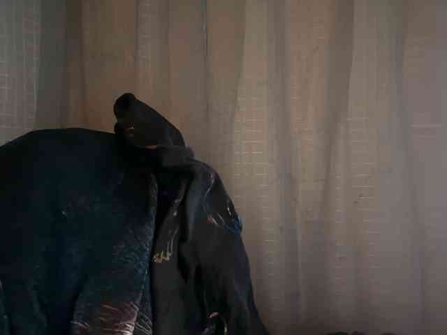 mermaidlexi mermaidlexi