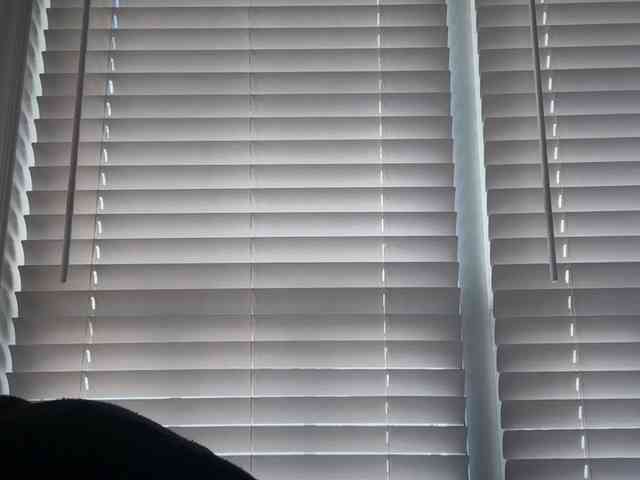 mermaidlexi mermaidlexi