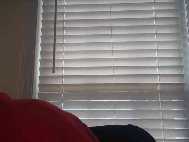 mermaidlexi mermaidlexi