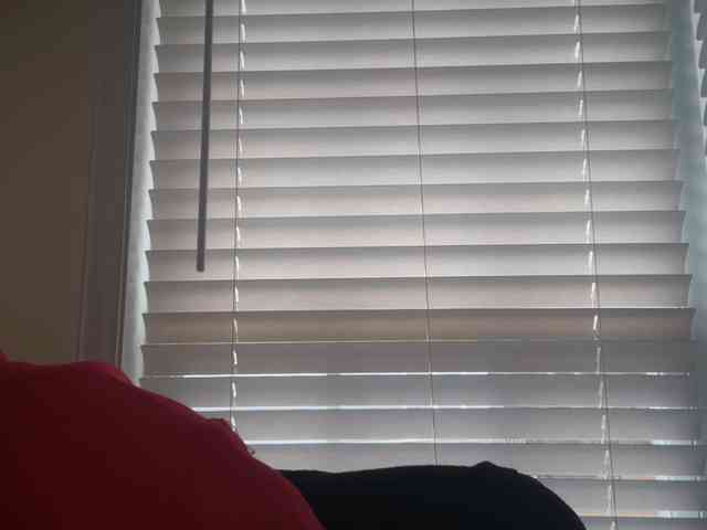 mermaidlexi mermaidlexi