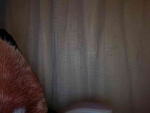 AmericnBarbie webcam