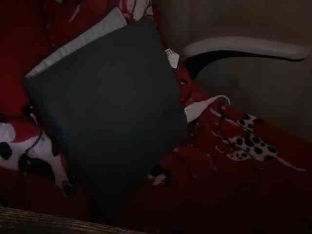 mermaidlexi mermaidlexi