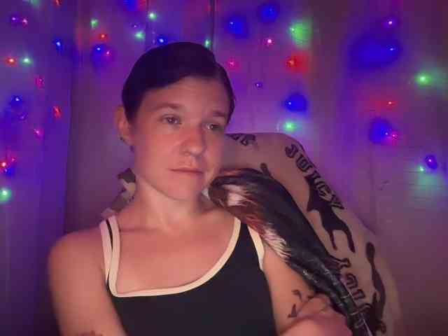 AmericnBarbie webcam