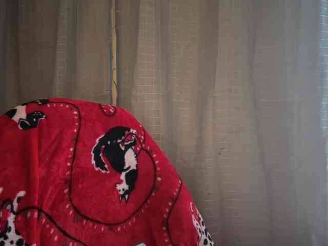 AmericnBarbie webcam