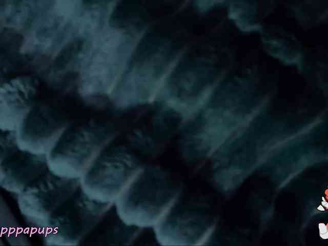 -Sweet-Kitty- webcam