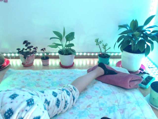 bomboncita288's BongaCams show and profile