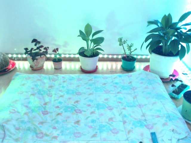 bomboncita288's BongaCams show and profile