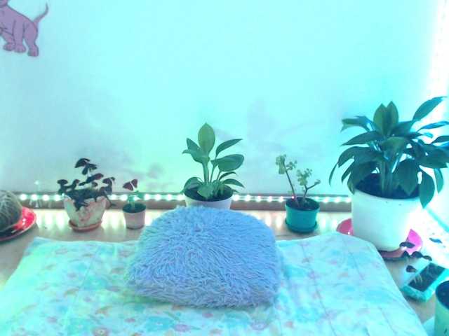 bomboncita288's BongaCams show and profile