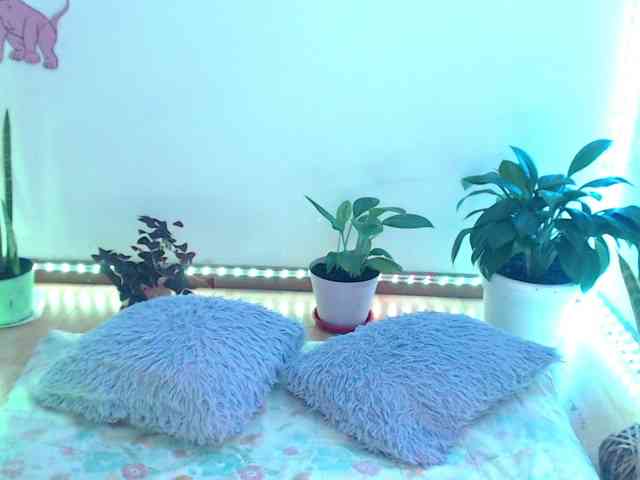 bomboncita288 webcam