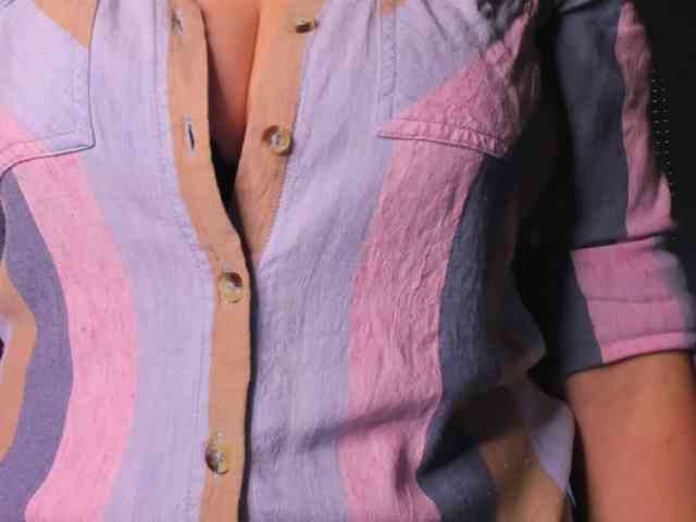SoftVANESSA webcam