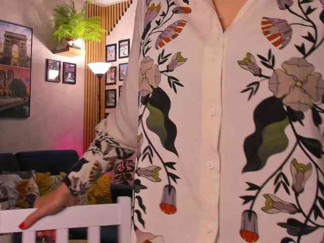 SoftVANESSA webcam