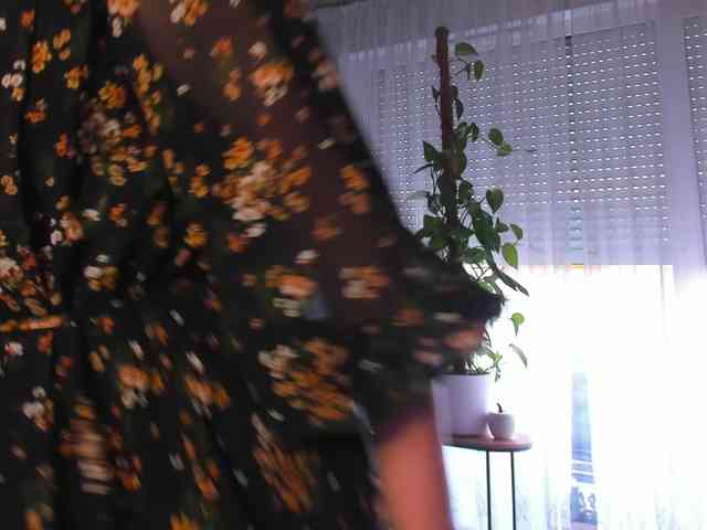 cam live SoftVANESSA