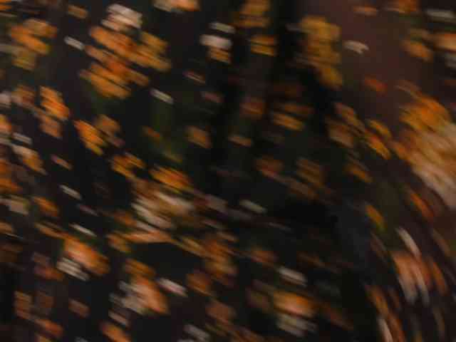SoftVANESSA webcam