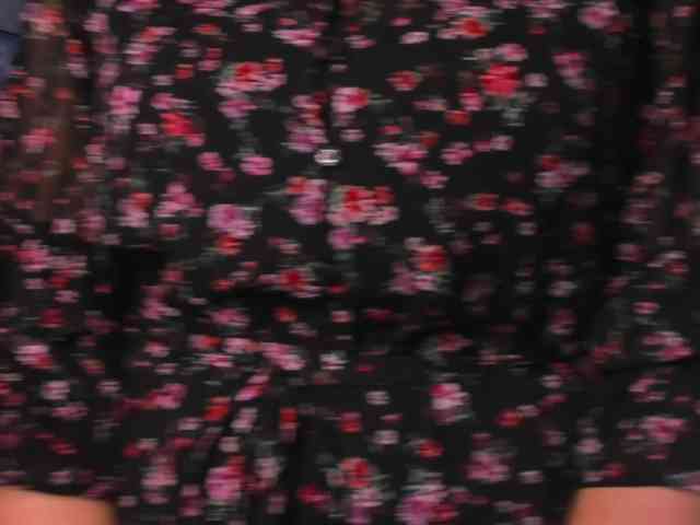 SoftVANESSA webcam
