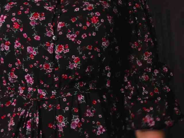SoftVANESSA webcam