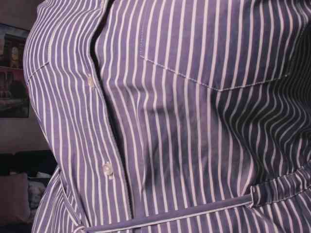 SoftVANESSA webcam