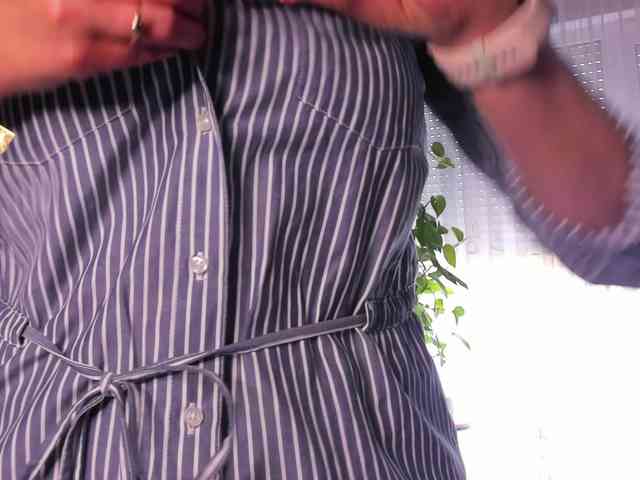 SoftVANESSA webcam