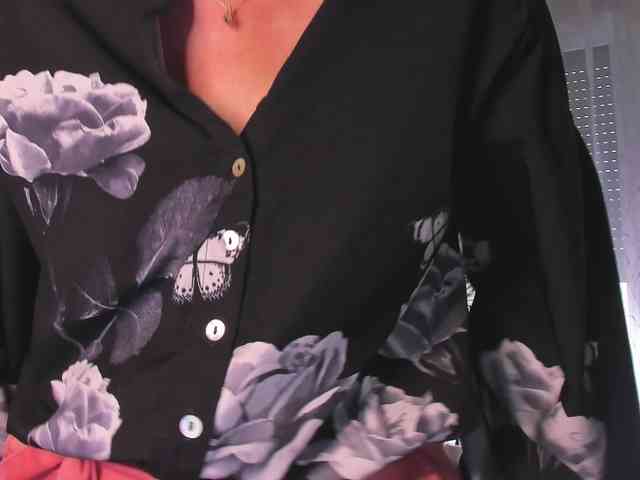 SoftVANESSA webcam