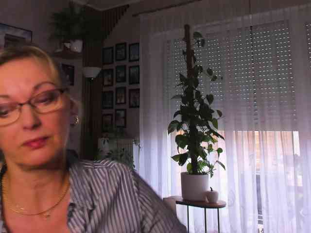 SoftVANESSA webcam