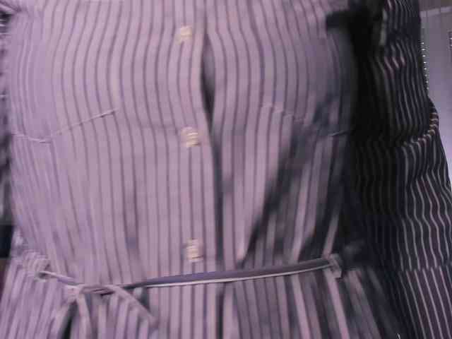 SoftVANESSA webcam