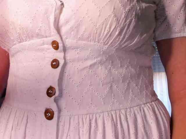 SoftVANESSA webcam