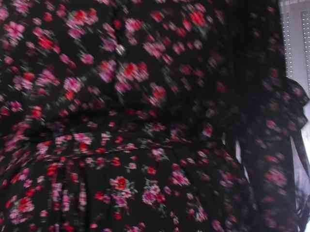SoftVANESSA webcam