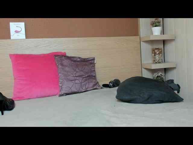 MandyBlaire MandyBlaire