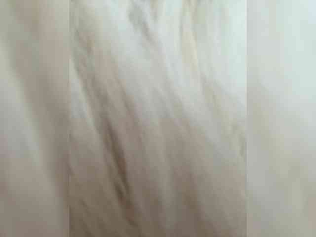 -Riviera- webcam