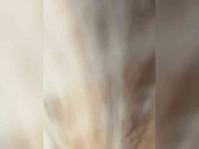 free chat sex X-NaStyA-x