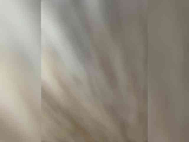 -Riviera- webcam