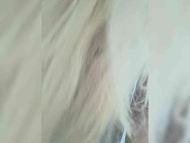 -Riviera- webcam